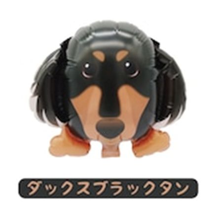 ﾐﾆﾜﾝｺﾊﾞﾙｰﾝﾀﾞｯｸｽﾌﾞﾗｯｸﾀﾝ
